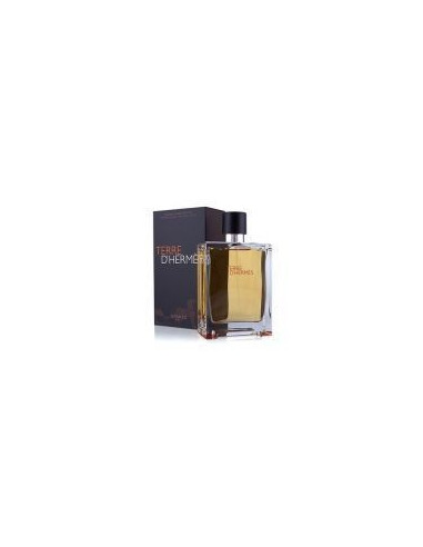 Hermes Terre D'Hermès  edtv 100ml